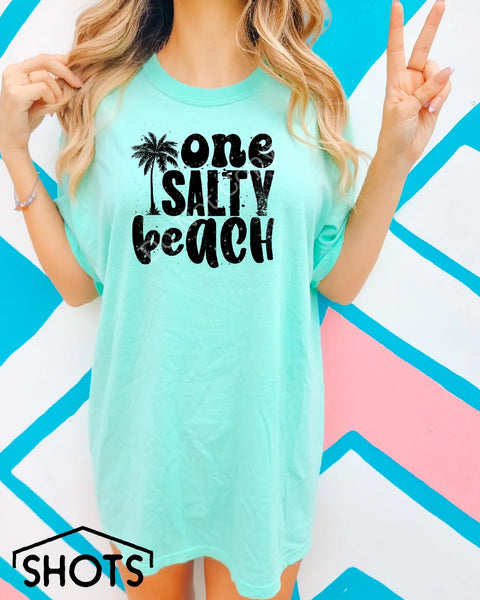 One Salty Beach