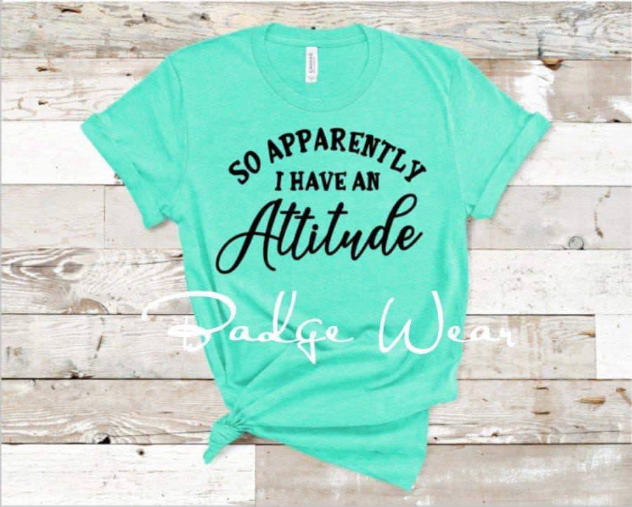 So Apparently I Have an Attitude